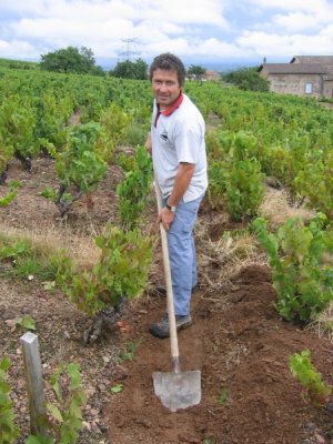 Relever un charrois en Beaujolais