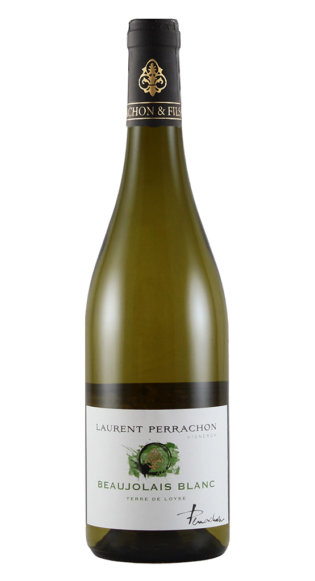 BEAUJOLAIS BLANC - «Terre de Loyse» - EN