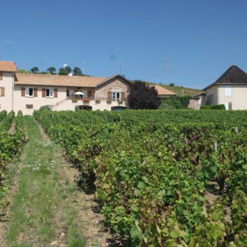 Domaine des Mouilles